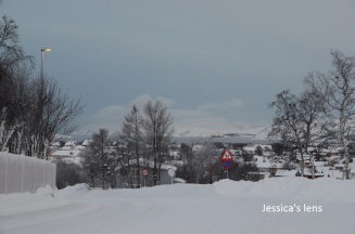 Kirkenes town